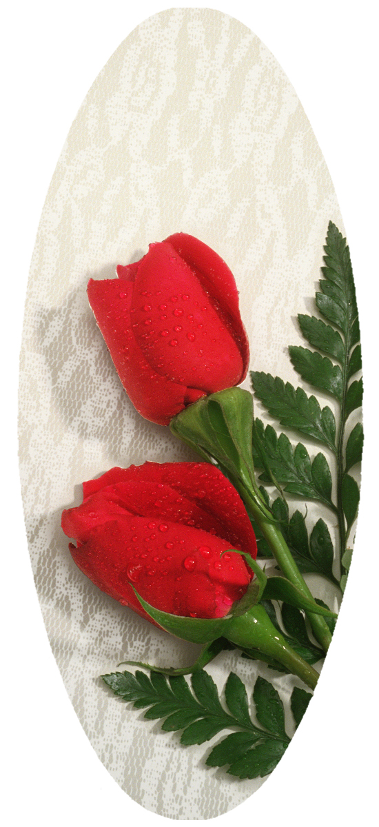 A18 Red Roses (bright) PROOF